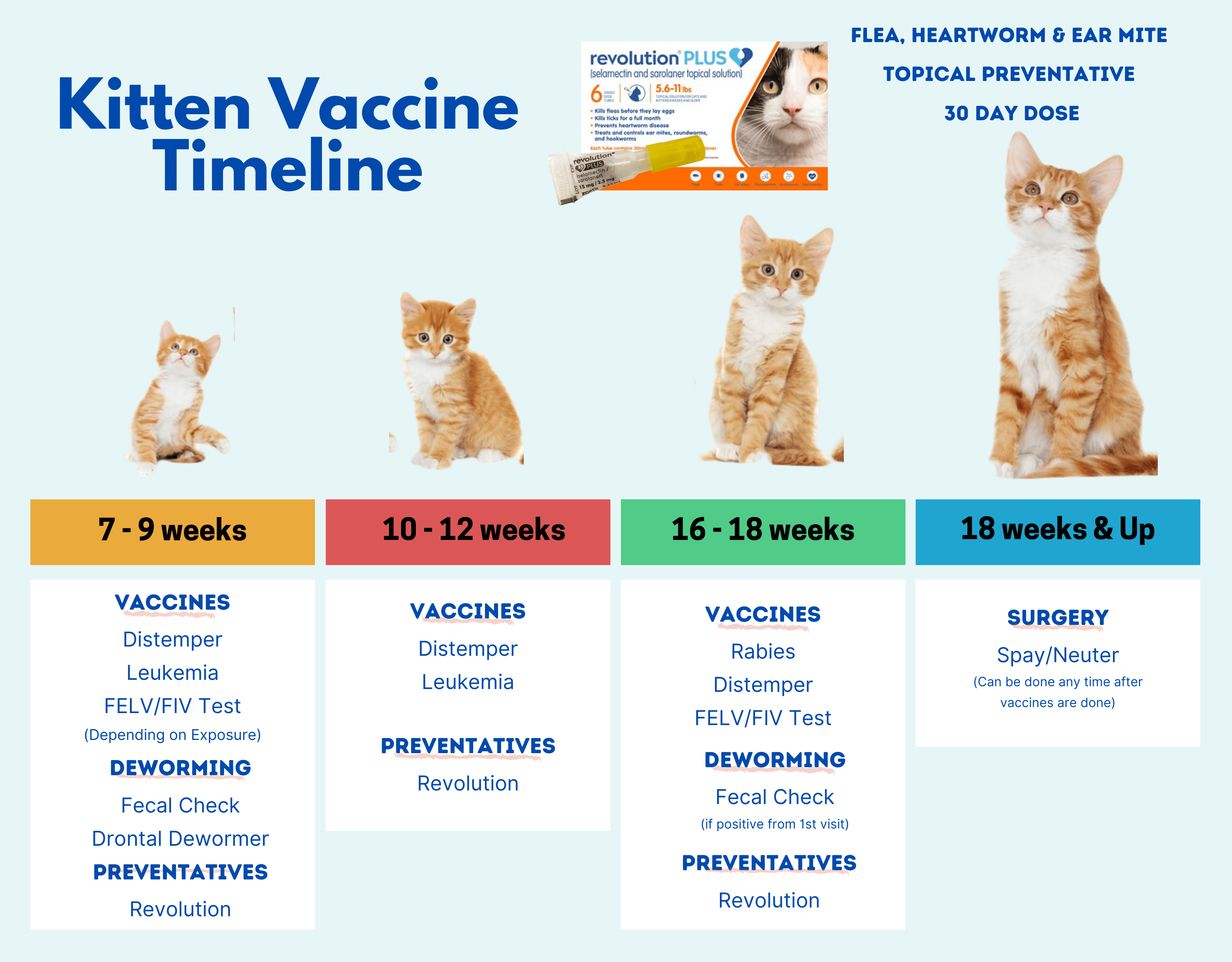 Green prairie Kitten vaccine recommendations