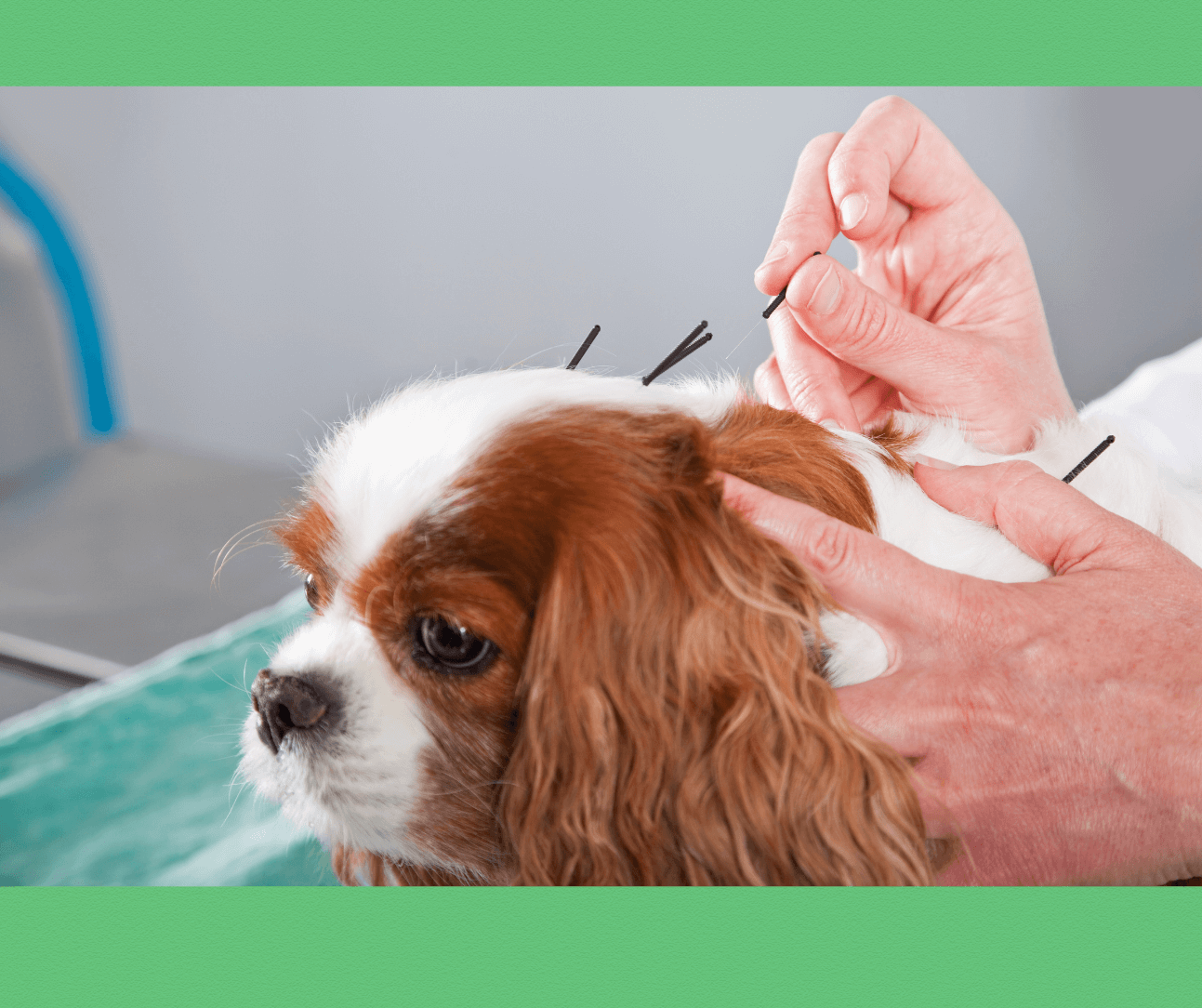 Acupuncture