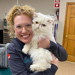 Cat Services in San Jose