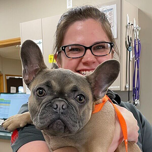 Dog Services in San Jose