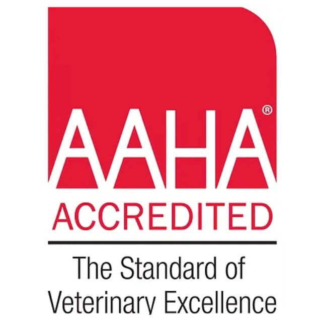 AAHA accredited at Green Prairie Animal Hospital