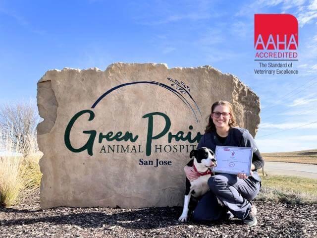 Top Rated San Jose Veterinarian Green Prairie Animal Hospitals Top Rated San Jose Veterinarian Green Prairie Animal Hospitals
