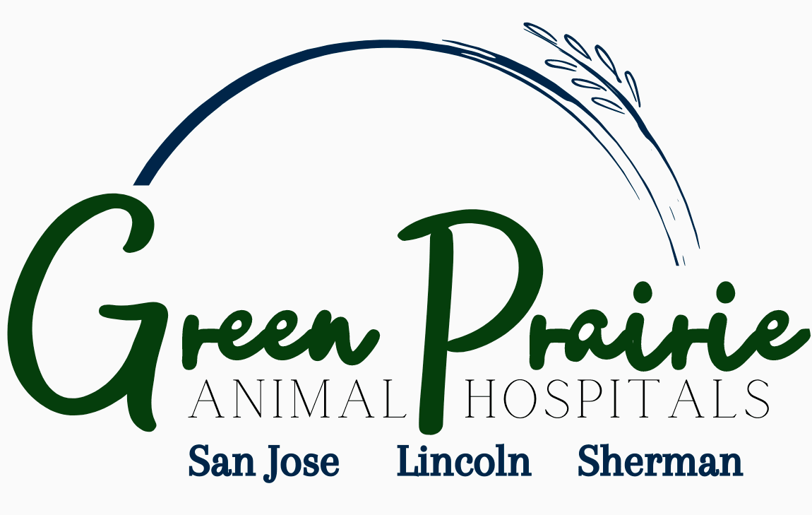 Herd Health Management Green Prairie Animal Hospitals